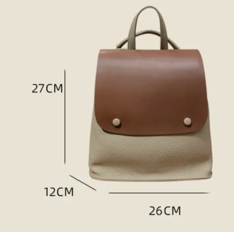 Devi’s Dilemma – Two-Tone Casual Backpack